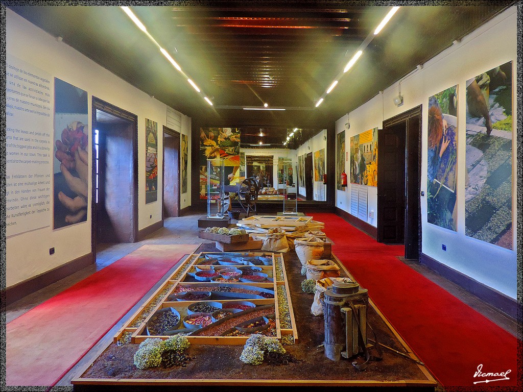 Foto: 131223-071 LA OROTAVA - Tenerife (Santa Cruz de Tenerife), España