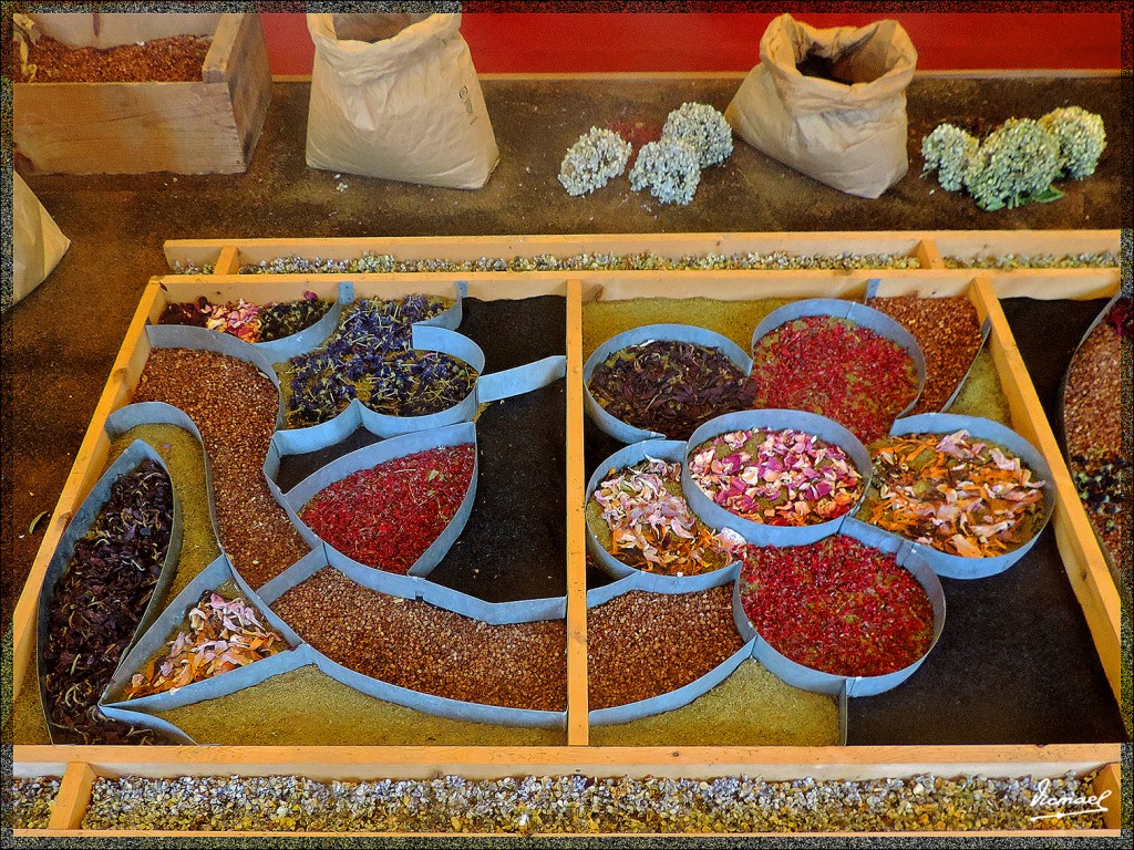 Foto: 131223-075 LA OROTAVA - Tenerife (Santa Cruz de Tenerife), España