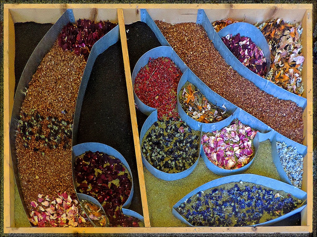 Foto: 131223-076 LA OROTAVA 1 - Tenerife (Santa Cruz de Tenerife), España