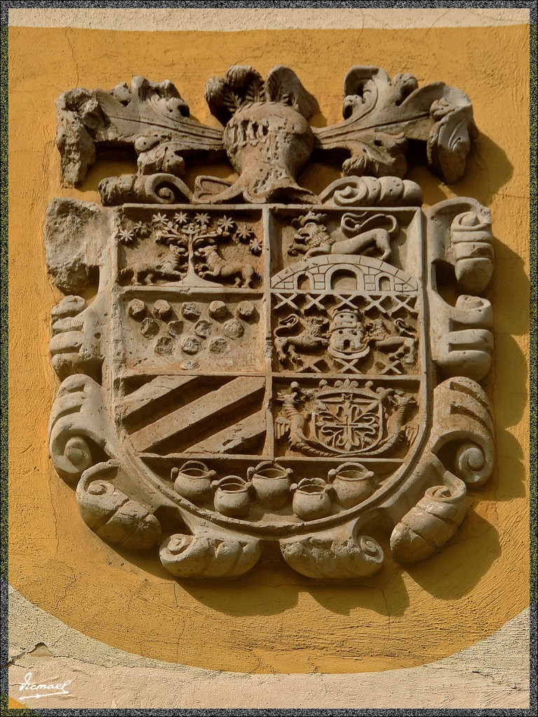 Foto: 131223-078 LA OROTAVA - Tenerife (Santa Cruz de Tenerife), España