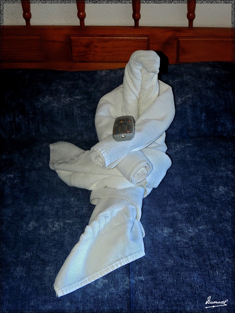 Foto: 131223-081 PANORAMICA GARDEN - Tenerife (Santa Cruz de Tenerife), España