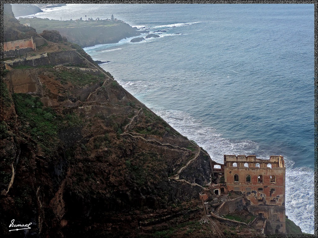 Foto: 131223-090 LOS REALEJOS - Tenerife (Santa Cruz de Tenerife), España