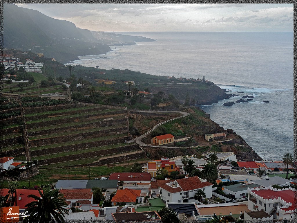 Foto: 131223-099 LOS REALEJOS - Tenerife (Santa Cruz de Tenerife), España