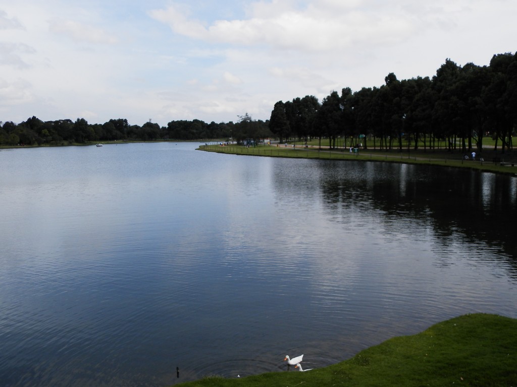 Foto: PARQUE - Bogotá, Colombia