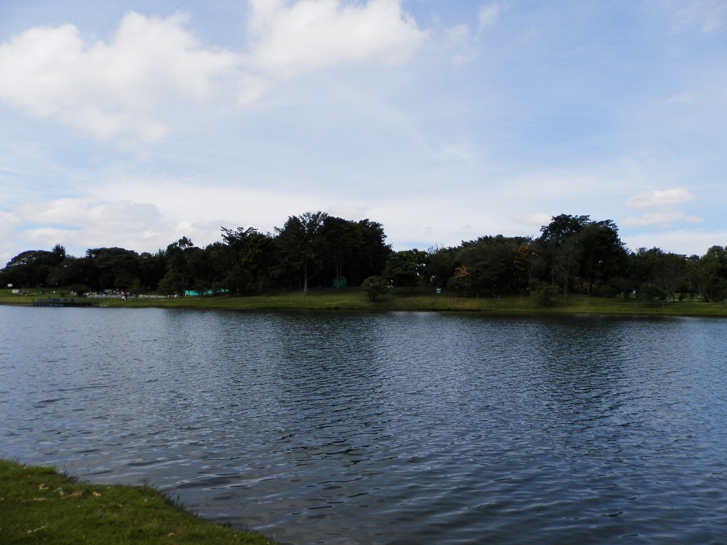 Foto: PARQUE - Bogotá, Colombia