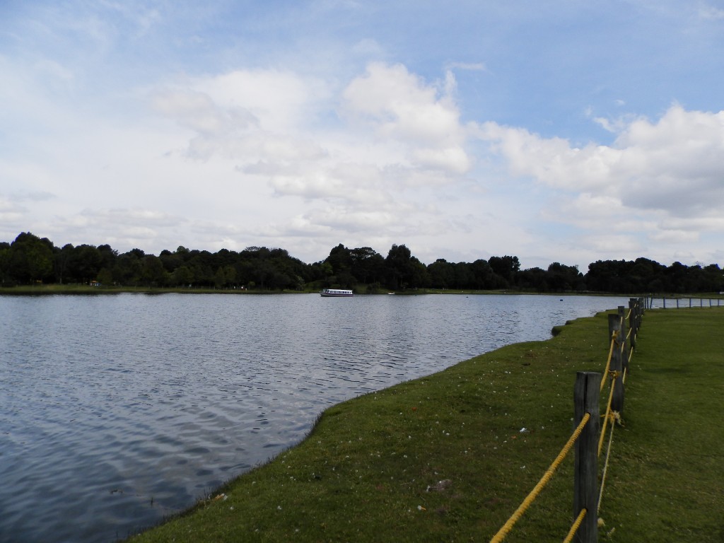 Foto: PARQUE - Bogotá, Colombia
