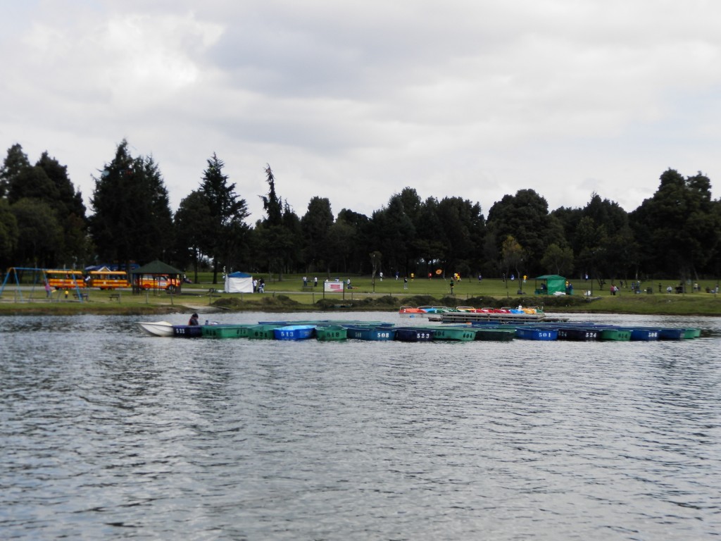 Foto: PARQUE - Bogotá, Colombia