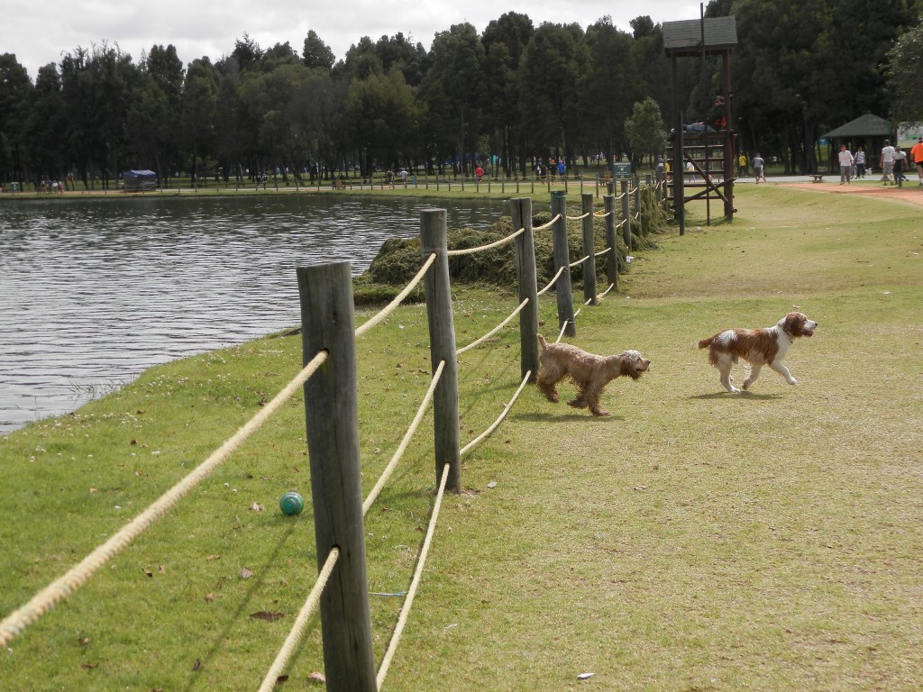 Foto: PARQUE - Bogotá, Colombia