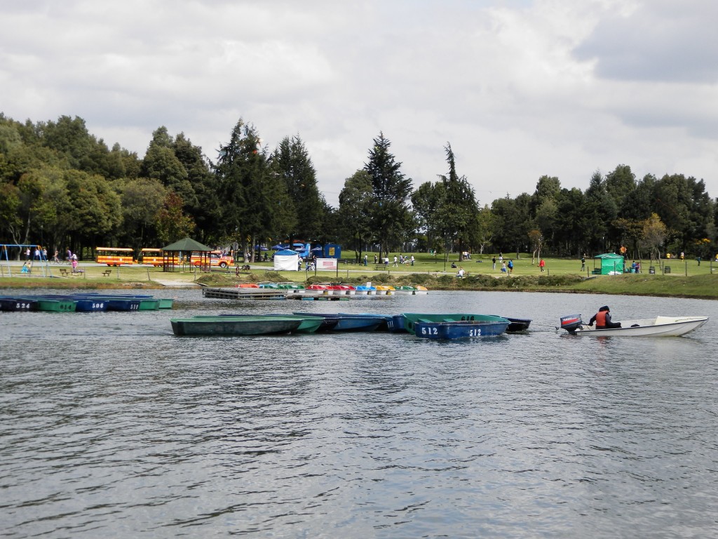 Foto: PARQUE - Bogotá, Colombia