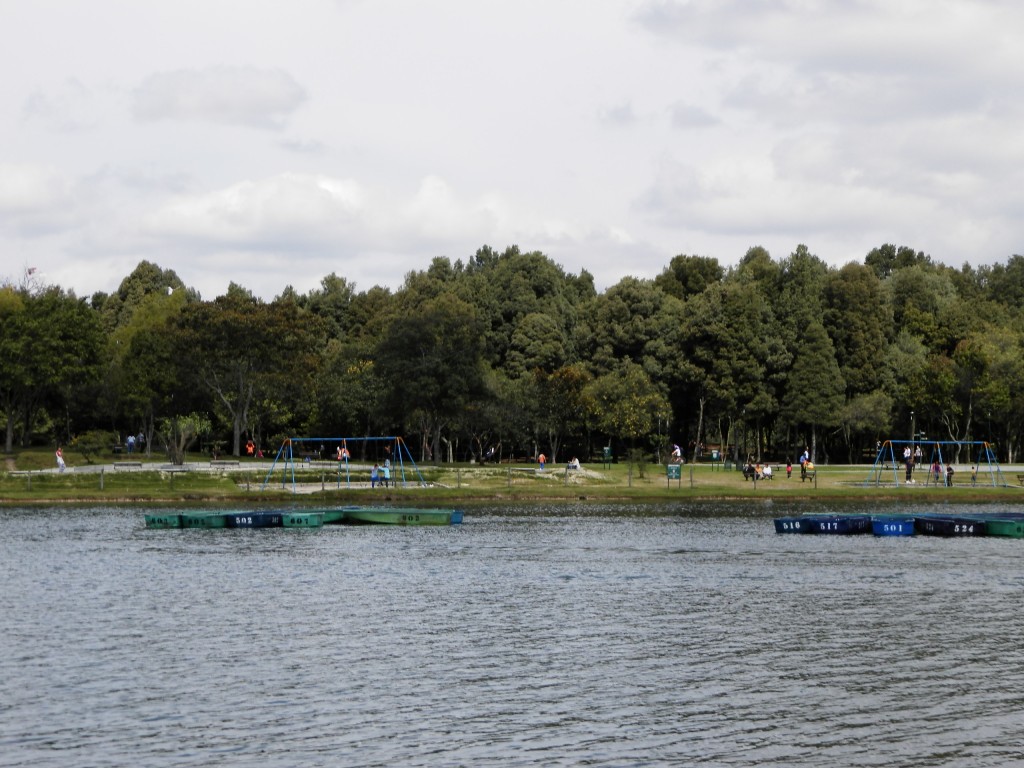 Foto: PARQUE - Bogotá, Colombia