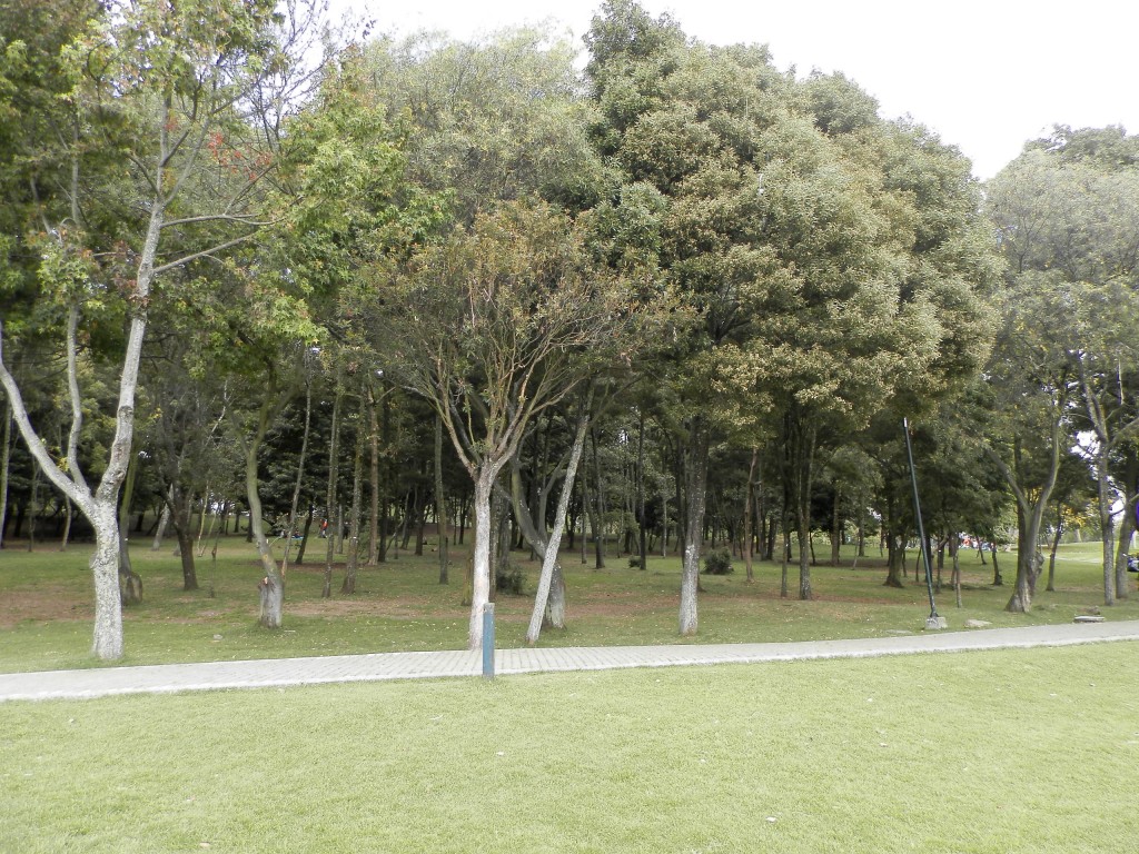 Foto: PARQUE - Bogotá, Colombia
