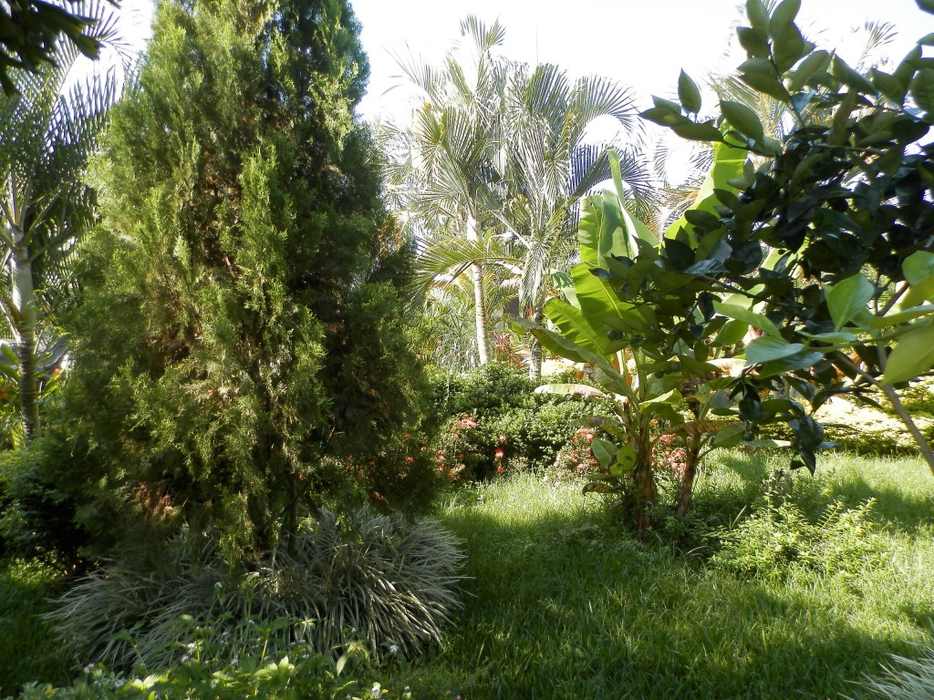 Foto: CENTRO RECREATIVO - Tinaquillo (Cojedes), Venezuela