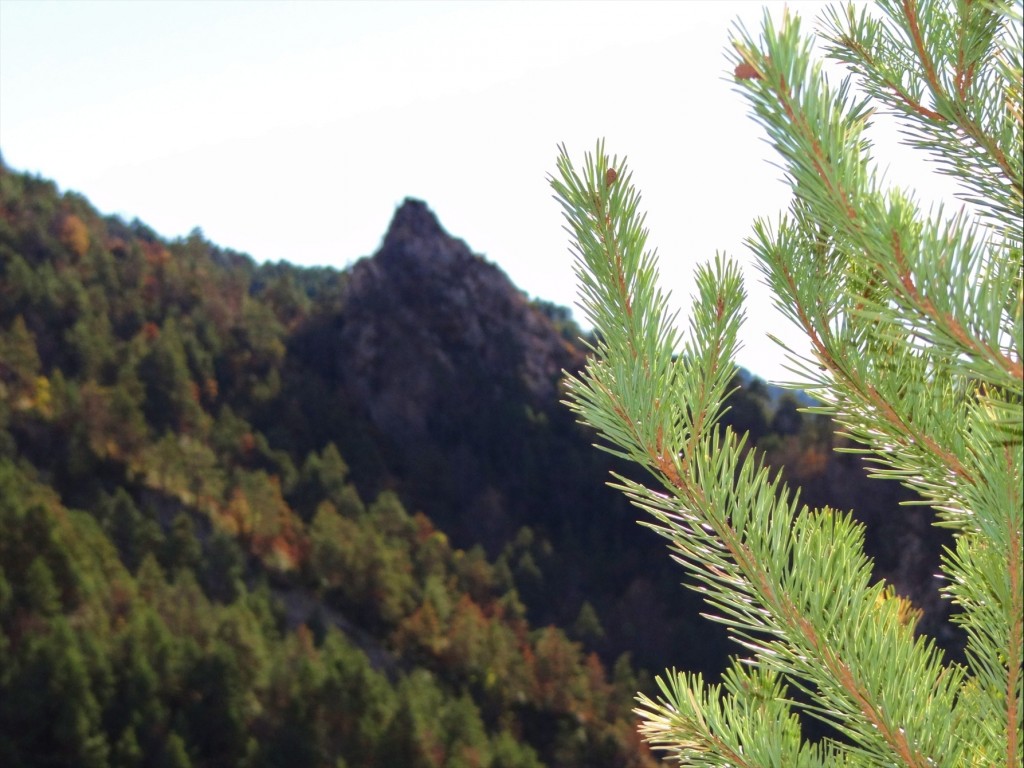 Foto: Camí dels Bons Homes - Gósol (Lleida), España