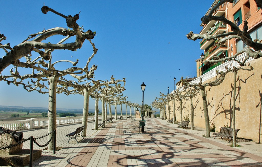 Foto: Paseo del Espolón - Roa (Burgos), España