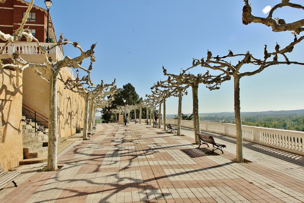 Foto: Paseo del Espolón - Roa (Burgos), España