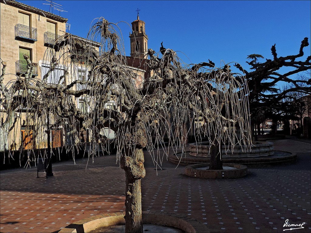 Foto: 131204-03 ARIZA - Ariza (Zaragoza), España