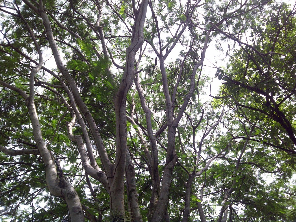 Foto de Chalatenango, El Salvador