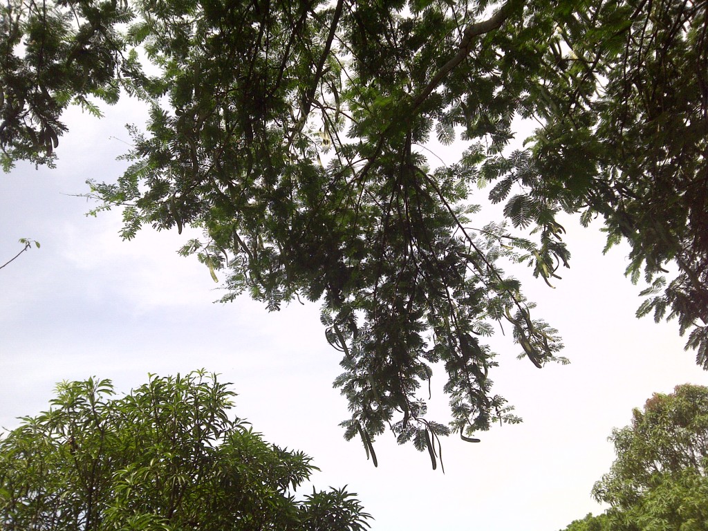 Foto de Chalatenango, El Salvador