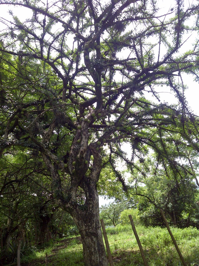 Foto de Chalatenango, El Salvador
