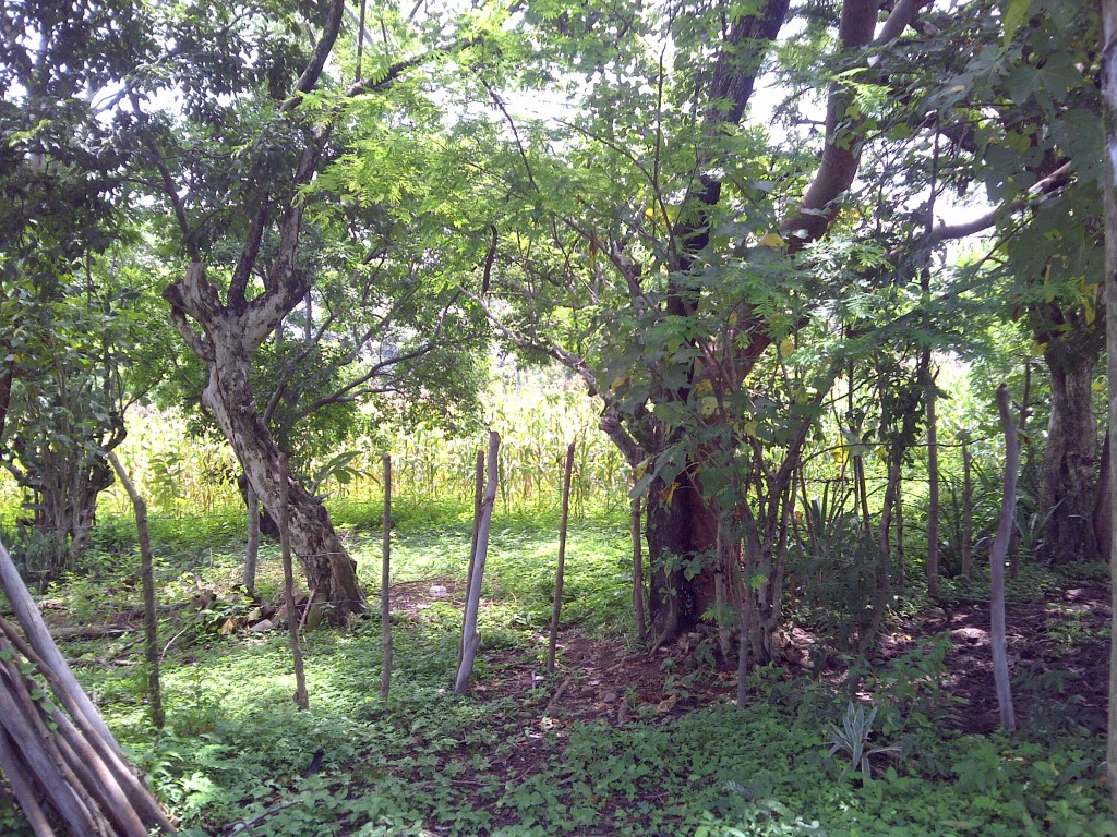 Foto de Chalatenango, El Salvador