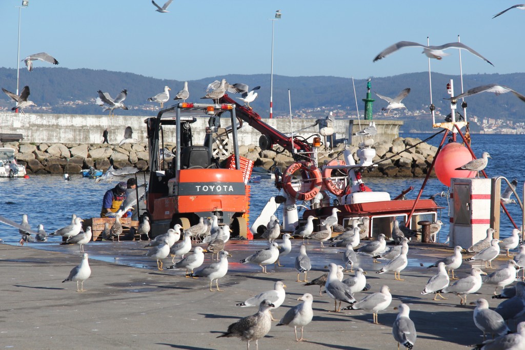 Foto de Bueu (Pontevedra), España