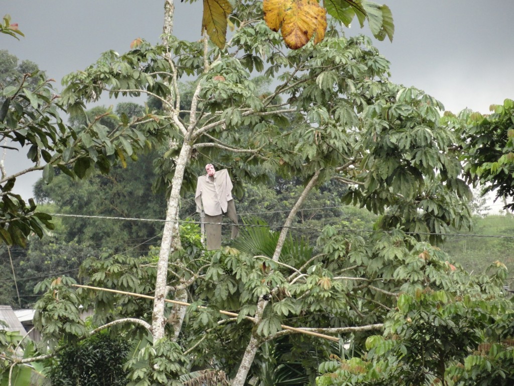Foto: Monigote - Shell (Pastaza), Ecuador