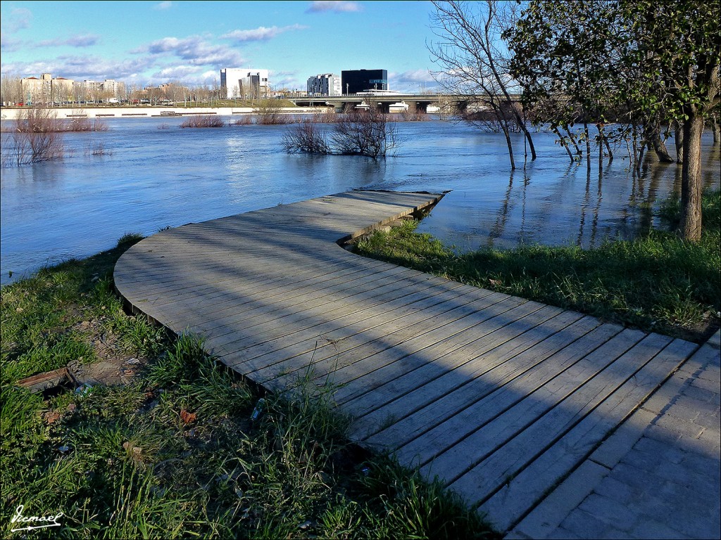 Foto: 130209-22 RIADA DEL EBRO - Zaragoza (Aragón), España