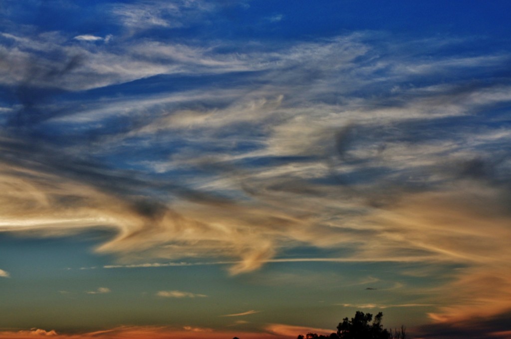 Foto: Puesta de sol - El Saler (València), España