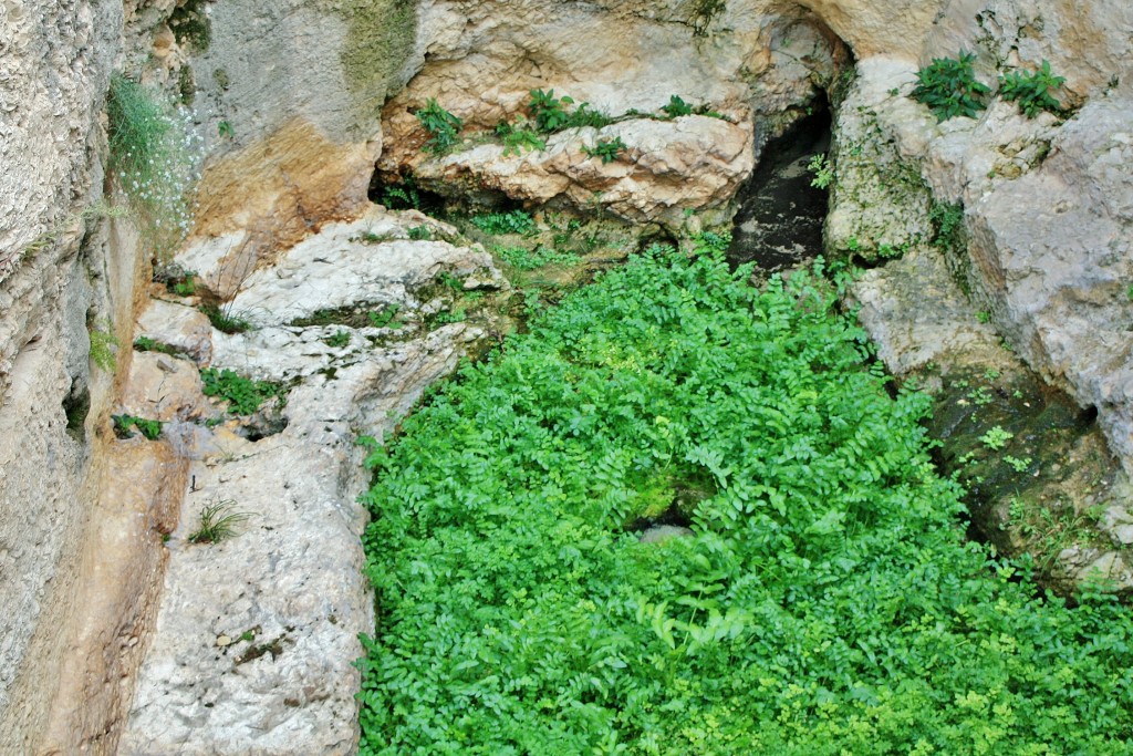 Foto de Ontinyent (València), España