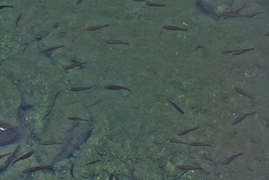 Foto de Ontinyent (València), España