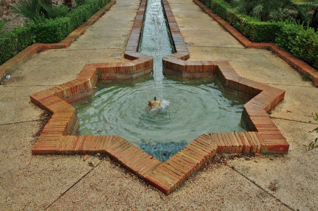 Foto: Castillo - Xàtiva (València), España