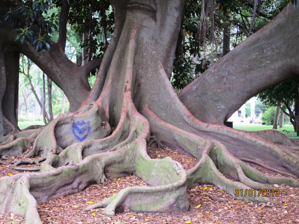 Foto: Parque Tres de Febrero. Rosedal. - Ciudad Autónoma de Buenos Aires (Buenos Aires), Argentina