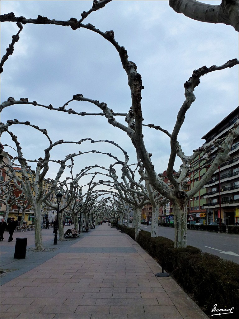 Foto: 130219-07 CALATAYUD - Calatayud (Zaragoza), España