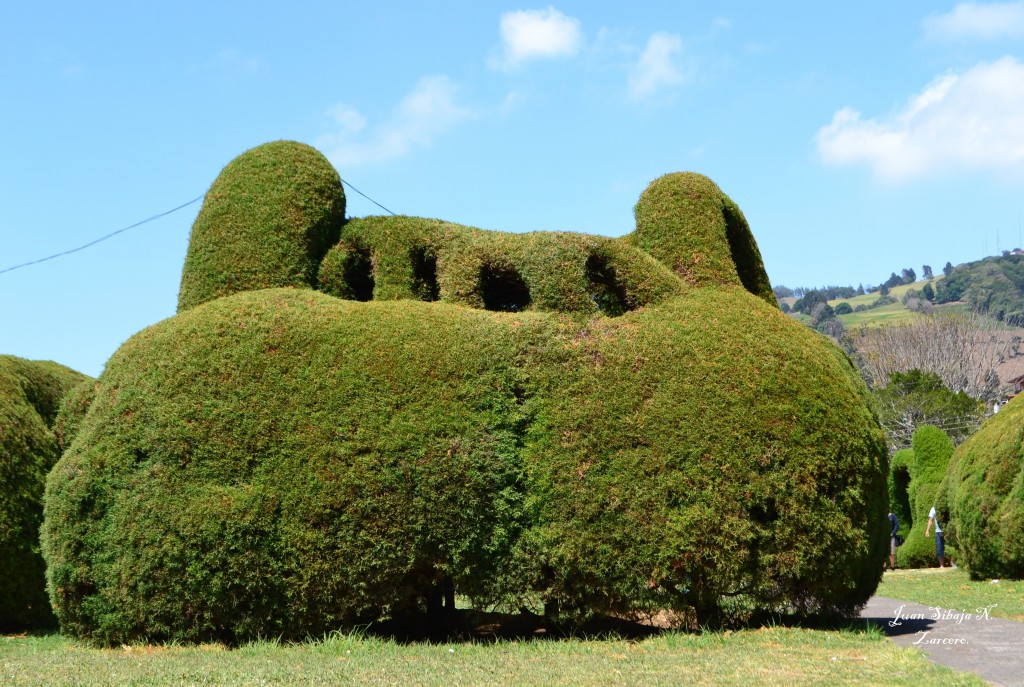 Foto de Zarcero (Alajuela), Costa Rica