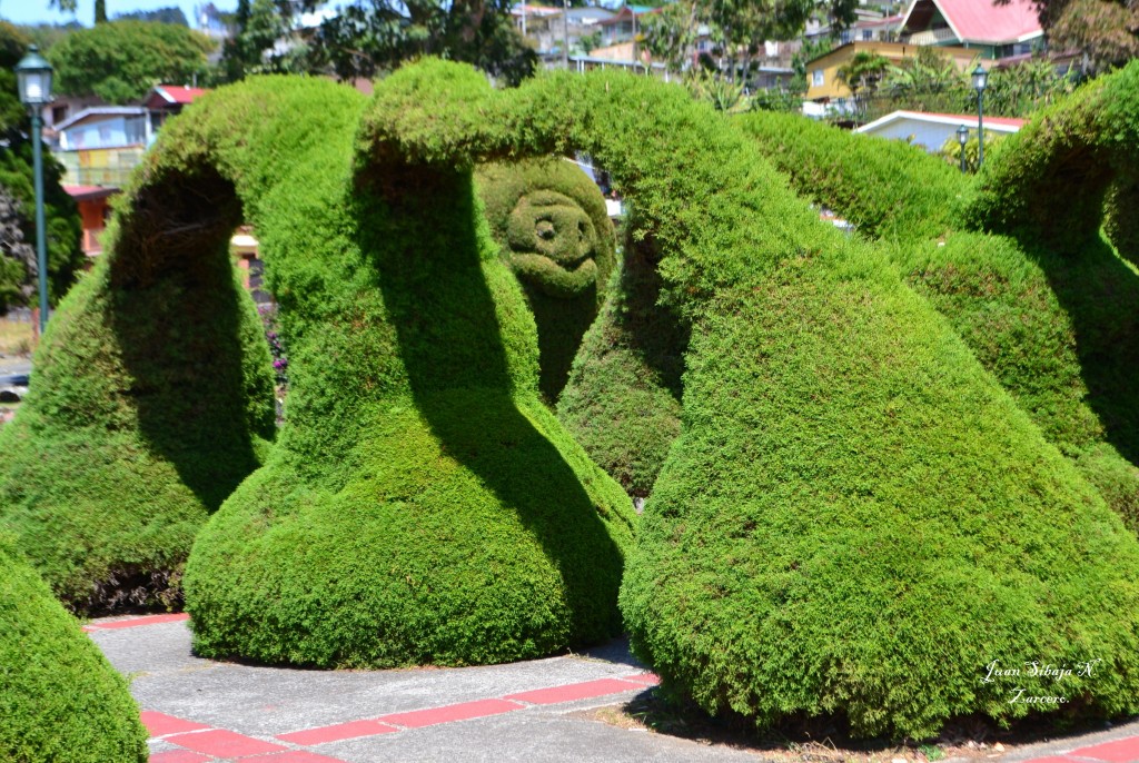Foto de Zarcero (Alajuela), Costa Rica