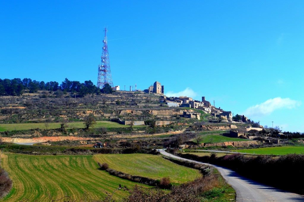 Foto: Paisatge de Savallà del Comtat - Savallà del Comtat (Tarragona), España