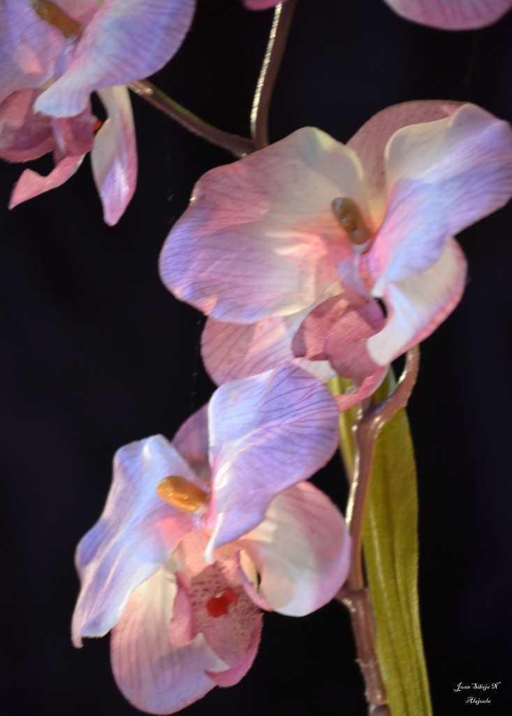 Foto: Museo Histórico Cultural Juan Santamaría - Alajuela, Costa Rica