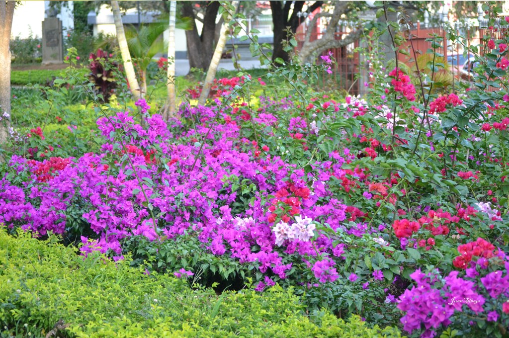 Foto de Alajuela, Costa Rica