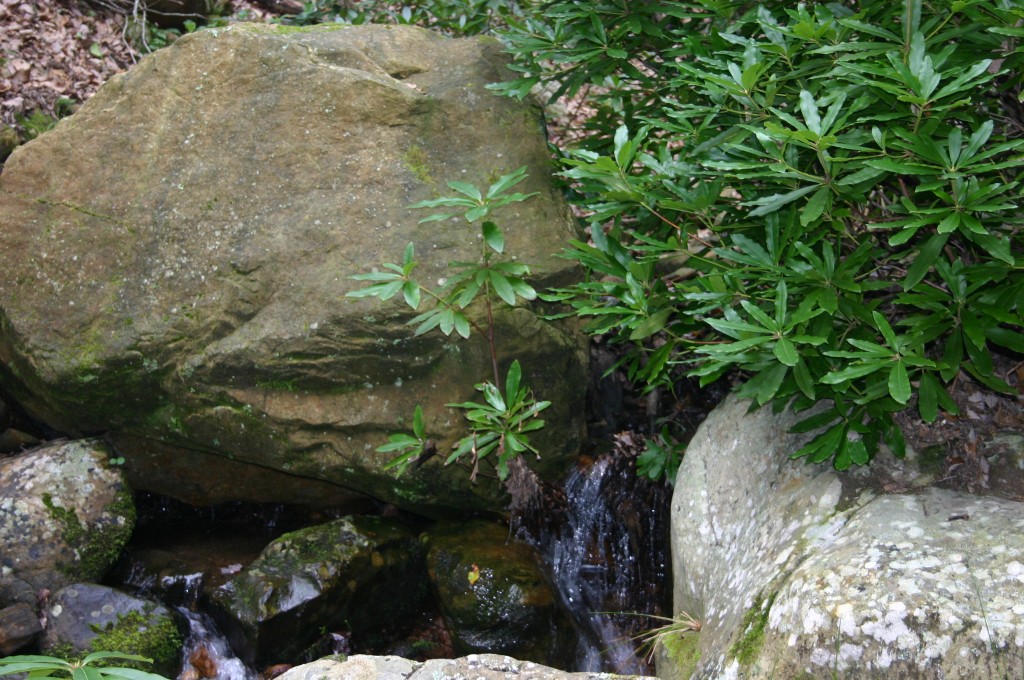 Foto de Alcalá de los Gazules (Cádiz), España