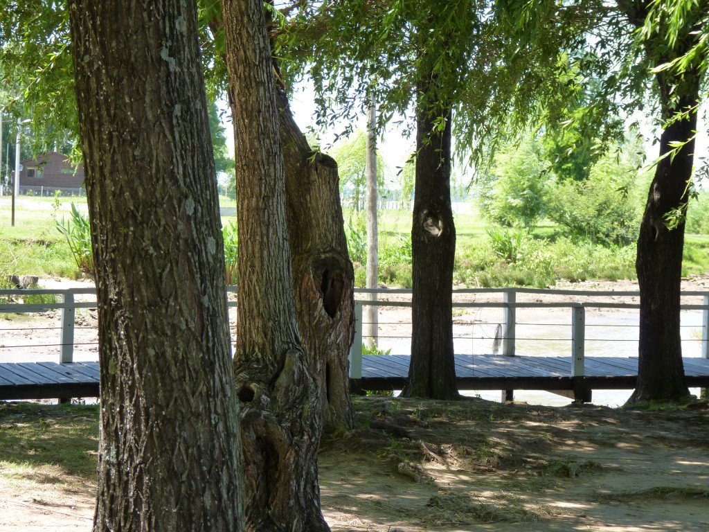 Foto: Camping La Torre - Río Paraná Guazú (Entre Ríos), Argentina