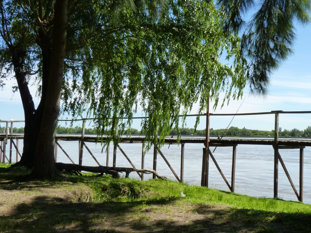 Foto: Camping La Torre - Río Paraná Guazú (Entre Ríos), Argentina