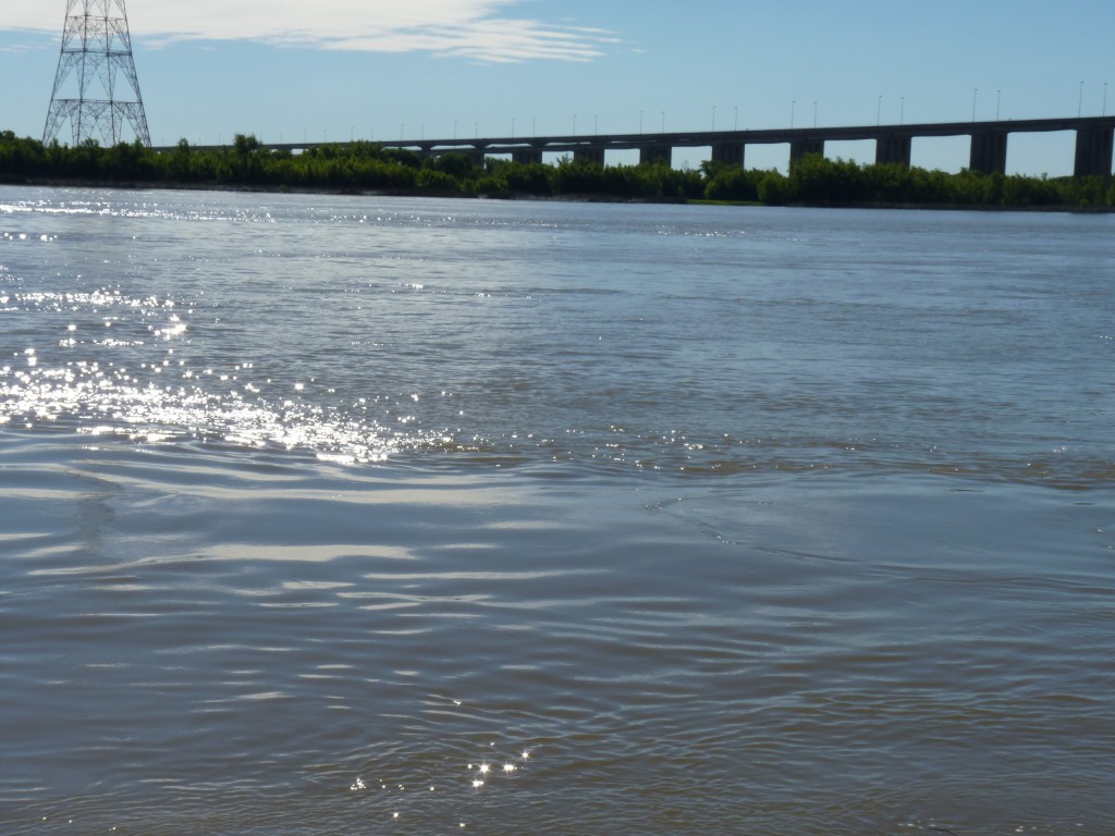 Foto de Río Paraná Guazú (Entre Ríos), Argentina