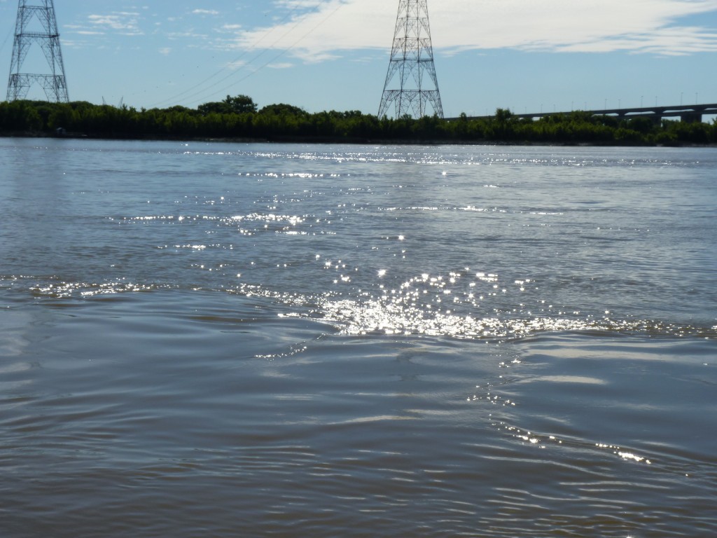Foto de Río Paraná Guazú (Entre Ríos), Argentina