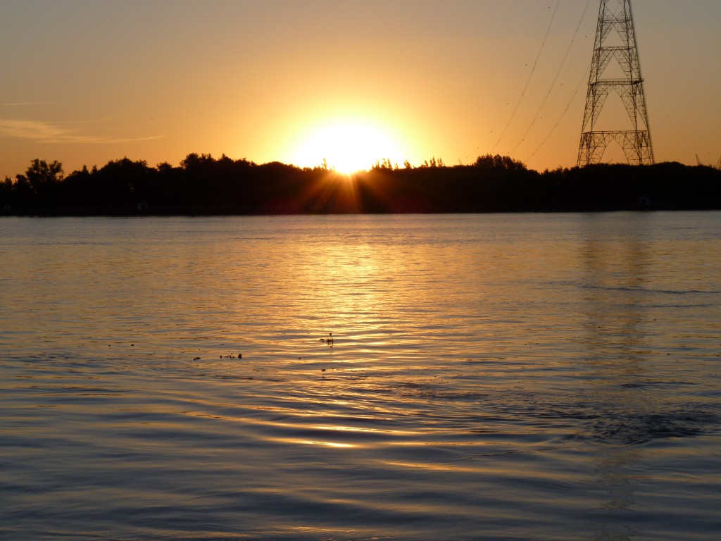 Foto de Río Paraná Guazú (Entre Ríos), Argentina