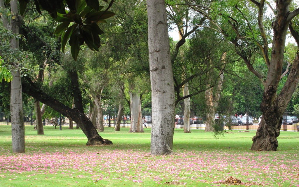 Foto: Rosedal - Ciudad Autónoma de Buenos Aires (Buenos Aires), Argentina