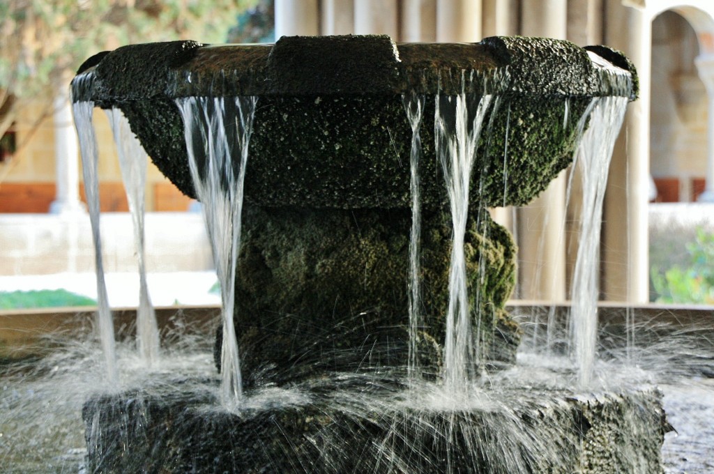 Foto: Monasterio de Poblet: claustro - Vimbodí i Poblet (Tarragona), España