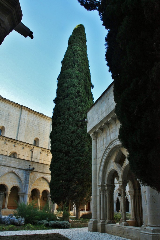 Foto: Monasterio de Poblet: claustro - Vimbodí i Poblet (Tarragona), España