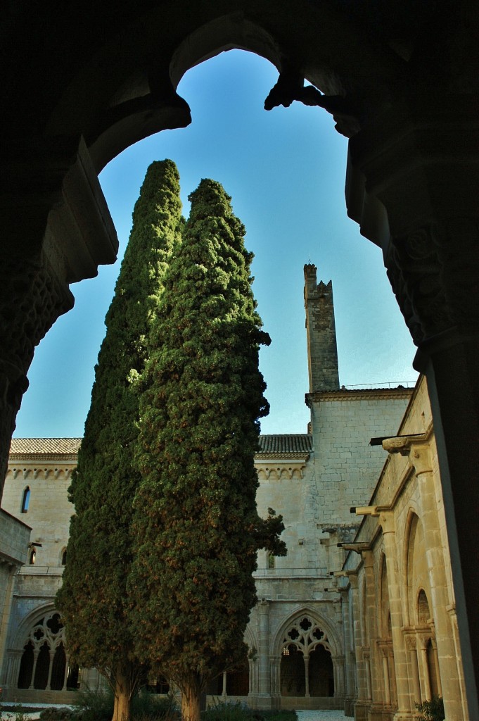 Foto: Monasterio de Poblet: claustro - Vimbodí i Poblet (Tarragona), España