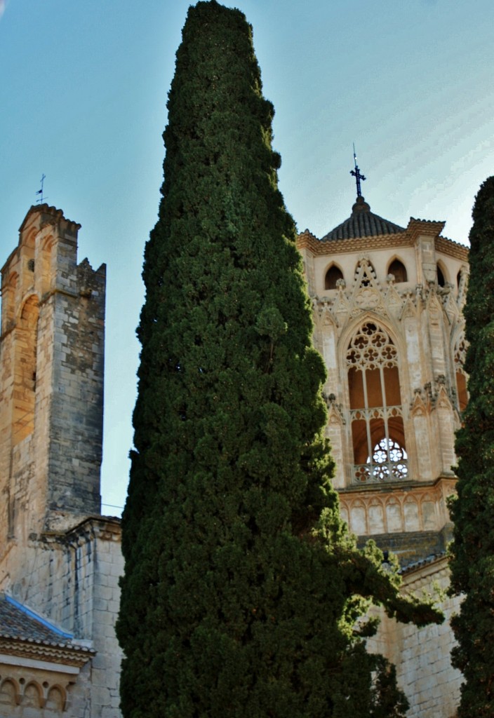 Foto: Monasterio de Poblet: claustro - Vimbodí i Poblet (Tarragona), España