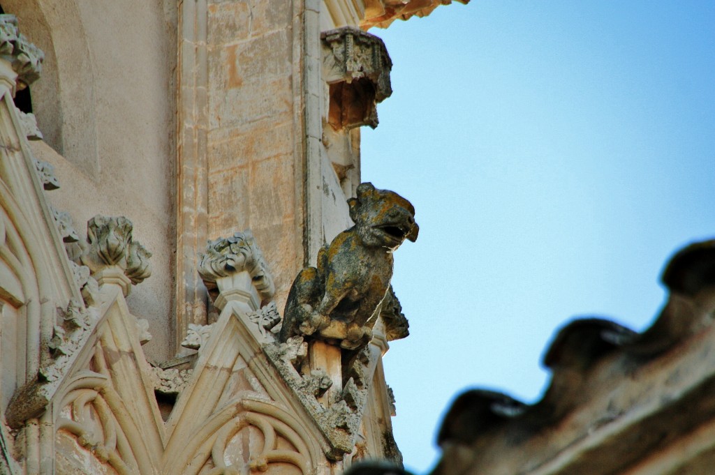 Foto: Monasterio de Poblet: gárgolas - Vimbodí i Poblet (Tarragona), España